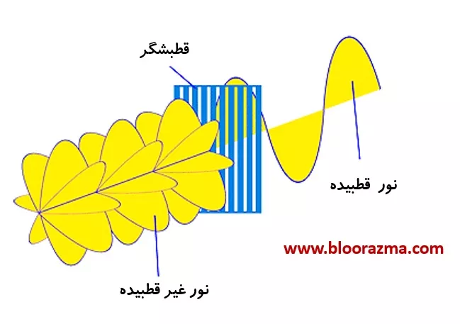 نور غیر قطبیده