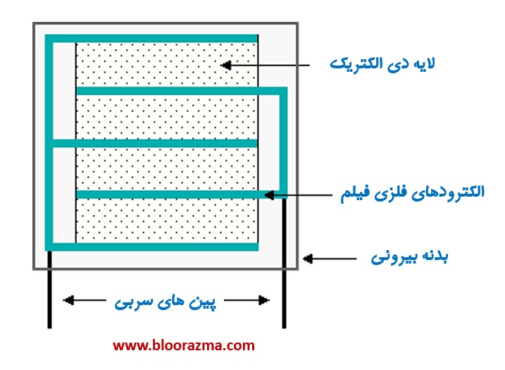 نوع شعاعی