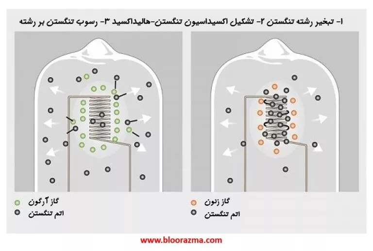 مقایسه عنلکرد دو گاز آرگون و زنون در منبع نوری رشته ای هالوژن-تنگستن