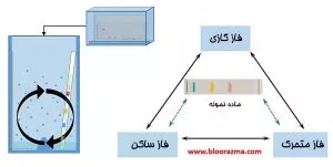 شماتیک کروماتوگرافی صفحه ای