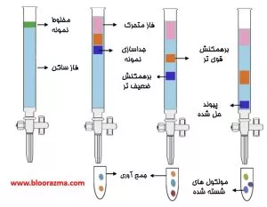 شماتیک کروماتوگرافی ستونی