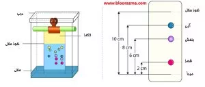 مکانیزم توزیع یا انتشار در کروماتوگرافی