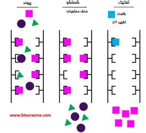 کروماتوگرافی با مکانیزم میل ترکیبی