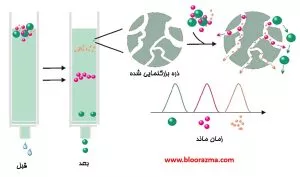 مکانیزم کلی کروماتوگرافی اندازه