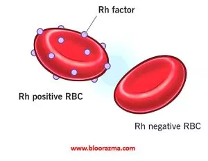 فاکتور Rh برای تعیین گروه خونی