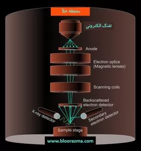 سیستم محفظه خلأ یک میکروسکوپ الکترونی