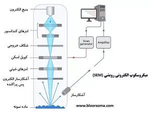 میکروسکوپ الکترونی روبشی SEM