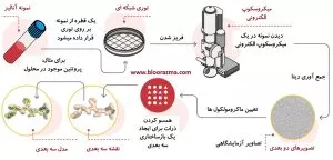 کاربردهای میکروسکوپ الکترونی نوع Cryo