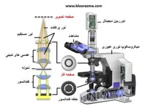 میکروسکوپ نوری نوع کنتراست فاز