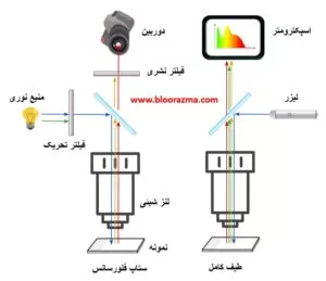 میکروسکوپ نوری نوع فلورسانس