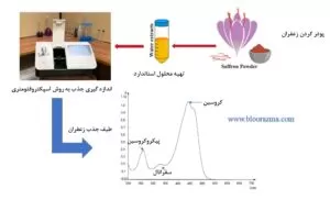 طیف جذب زعفران به روش اسپکتروفتومتری