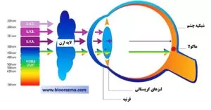 میزان نفوذ اشعه UV در چشم