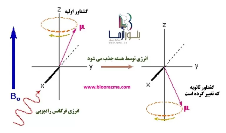 شکل 6- تغییرات گشتاور اسپین، با جذب انرژی فرکانس رادیویی