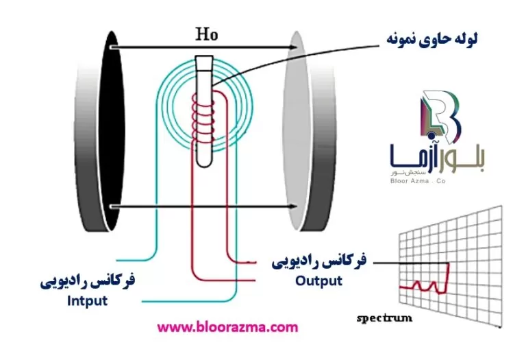 شکل 7- بخش فرکانس رادیویی در سیستم طیف سنجی رزونانس مغناطیسی هسته ای