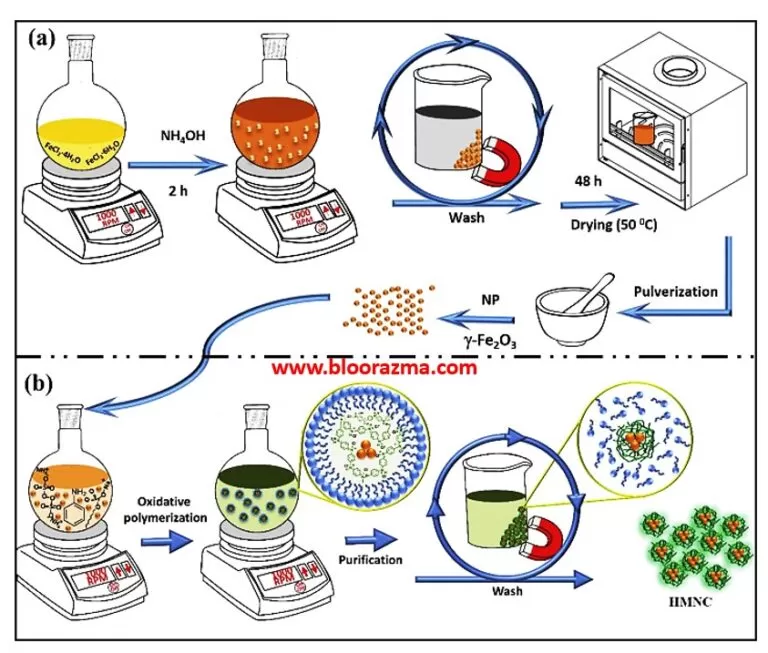 روش های رایج استخراج DNA