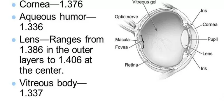شکل7- برخی از ضریب شکست های بخش هایی از چشم