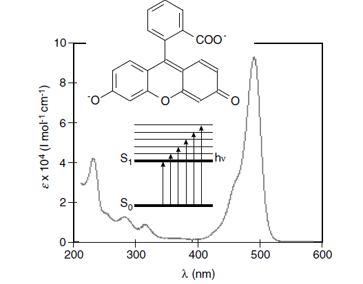 شکل 5- ساختار مولکولی و طیف جذب dianion fluorescein  در اتانول بر حسب طول موج