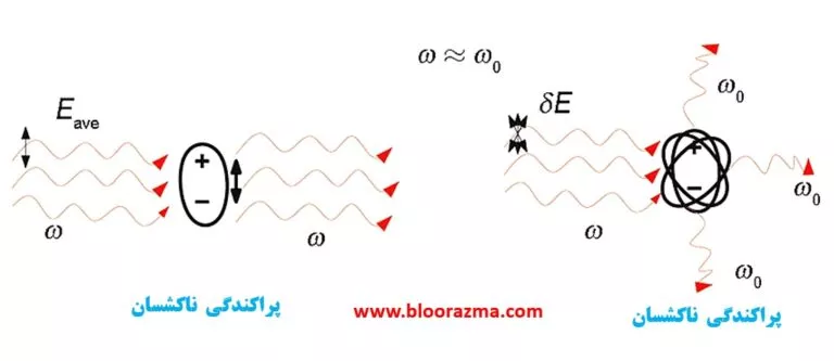 انواع پراکندگی