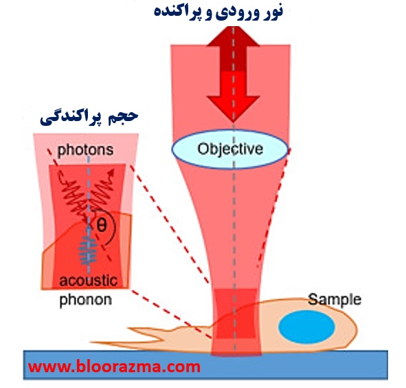 کاربرد پراکندگی بریلوئن در میکروسکوپی