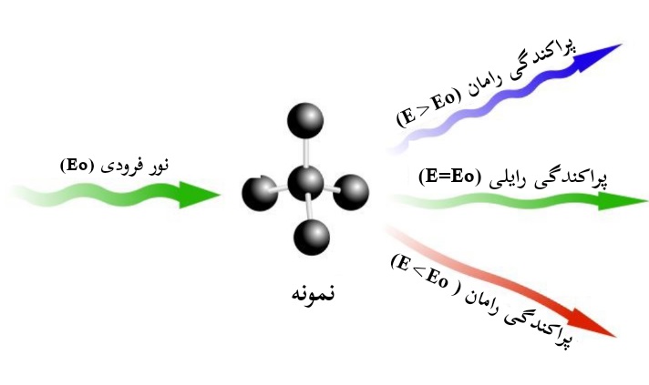 پراکندگی های رامان و رایلی