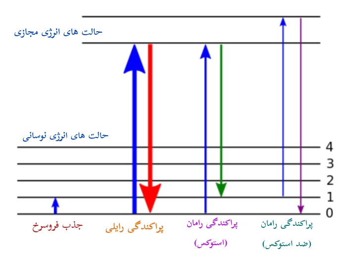 انواع پراکندگی رامان در طیف سنجی رامان